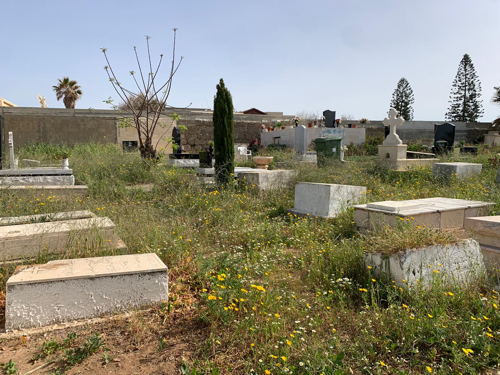 WhatsApp Image 2023-03-13 at 9.33.37 AM.jpeg